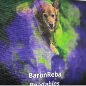 background preload poster image 