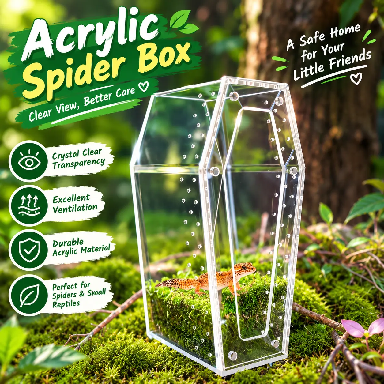 1pc Transparent Square Acrylic PMMA Tarantula Terrarium - Reptile Terrarium Supplies, 360-Degree Full View, Ventilation Holes, Magnetic Lid Panel, No-Assembly Sliding Design, Easy Cleaning, Tarantula Feeding Box Habitat