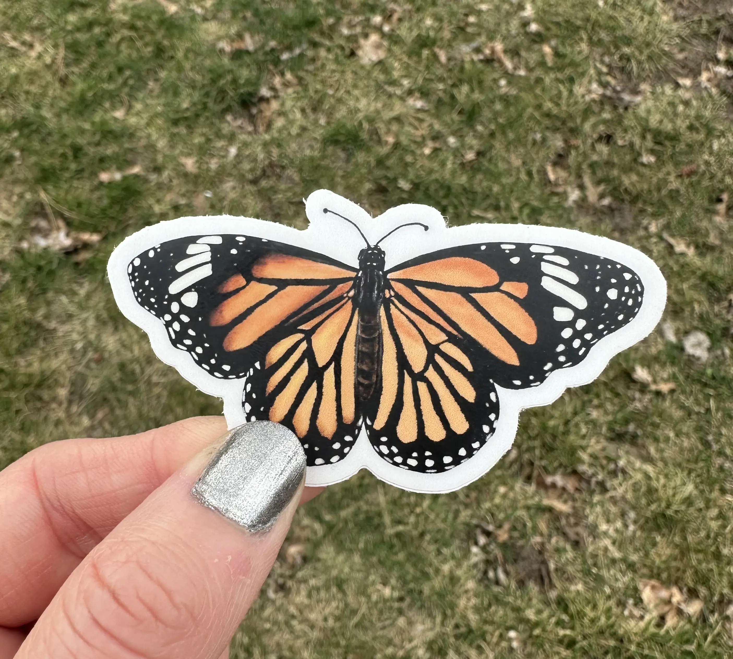 Orange Monarch Butterfly Sticker - water bottle - MacBook sticker