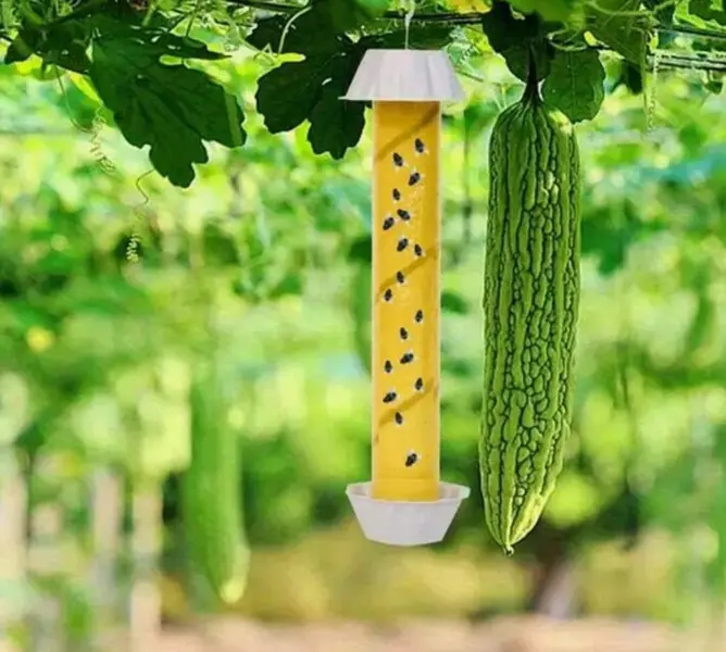 Fly Stick Sticky Fly Traps for Indoors and Outdoor Wasp Traps - Effective Pest Control