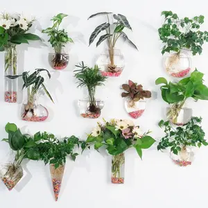 Hanging Hydroponic Glass Vase for Plants Wall Decor