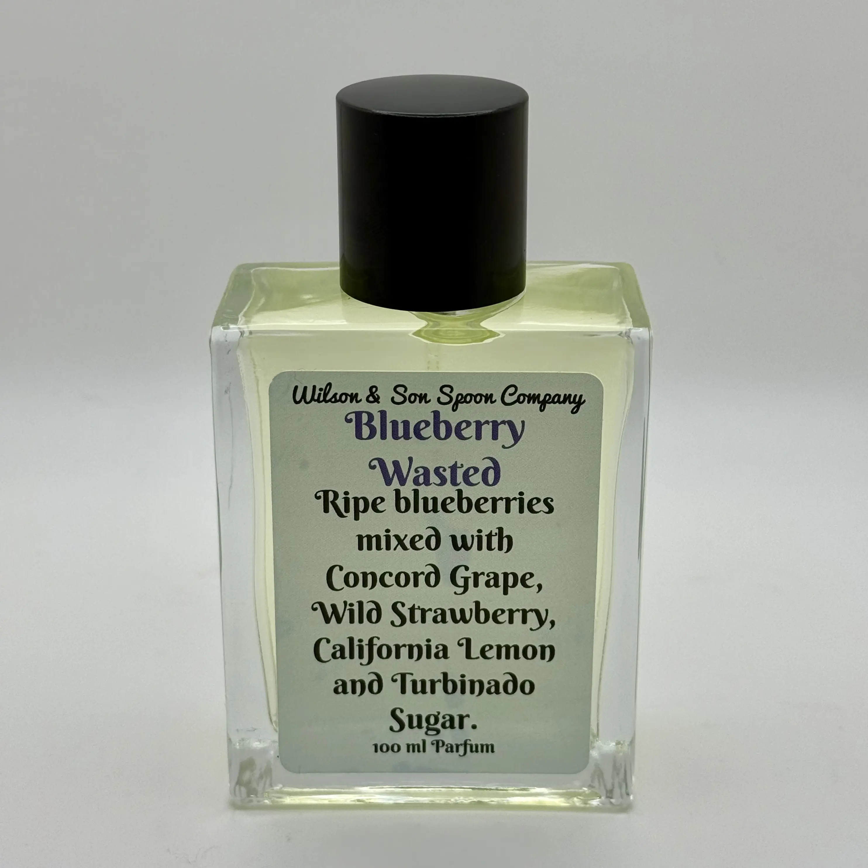 Blueberry Wasted 100 ml