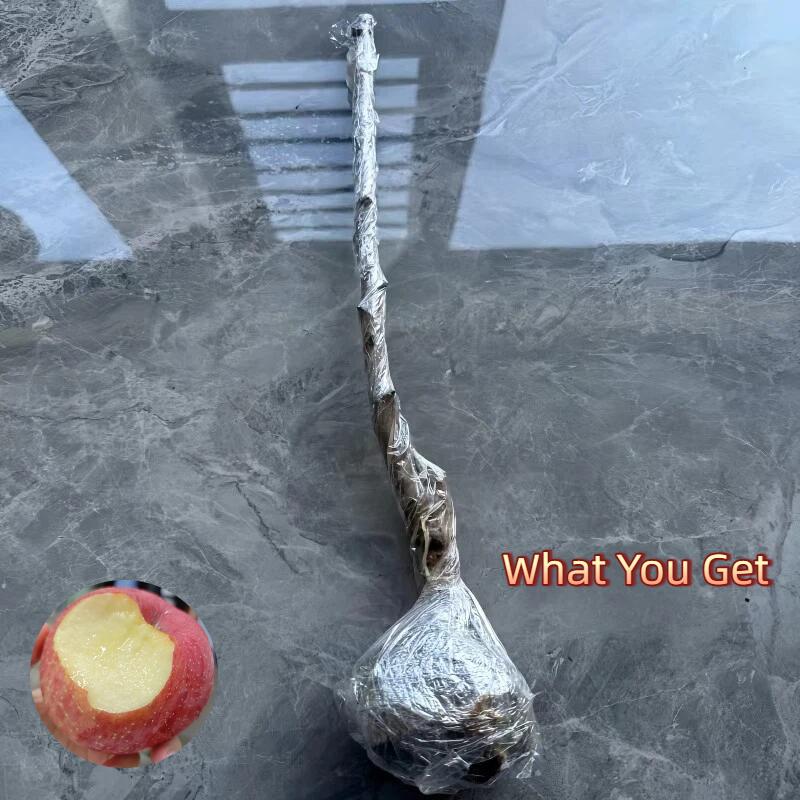 Cold Hardy Apple Tree for Home Garden │ Bare Root with Strong Roots │ Perennial Fruit Plant for Patio or Yard Sapling Non-GMO Compact