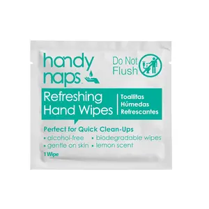 Handynaps Alcohol-Free Hand Wipes With Fresh Lemon Scent, Gentle On The Skin - Box of 100 Individually Wrapped Wipes For Adults and Kids, Travel Essentials