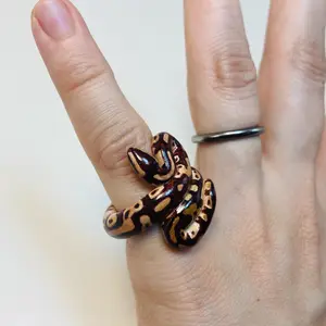 Normal Ball Python Ring