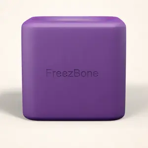 Freezbox - Super Tough Treat Toy