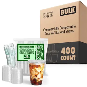 Stock Your Home 16 oz Clear Cold Cups with Lids and Straws 400 Pack Plastic Party Cups