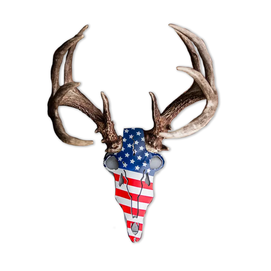 America Buck Antler Mount