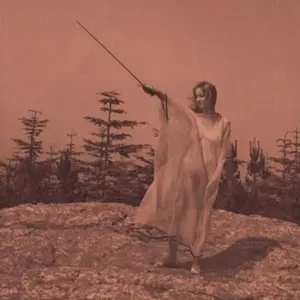 Unknown Mortal Orchestra - II  [VINYL RECORD - LP]