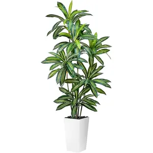 Artificial Dracaena Tree 5FT Tall   with White Pot - Realistic Faux Dragon Tree with Tall Planter - Indoor Floor  for , Office,Mall, Living Room, Bedroom Decor (White - Planter, 5ft)