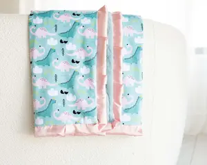 Ms. Dino Blanket