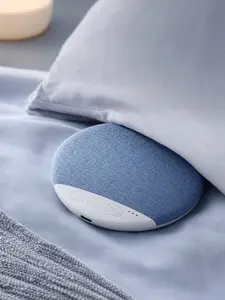 Bedroom Hidden Sleep Audio Gadget