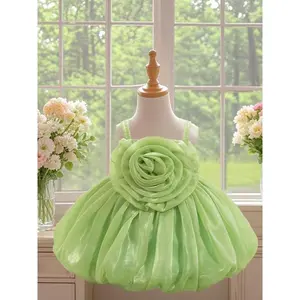 Sparkling pleated chiffon party dress for young girls, cute flower decoration sleeveless fur dress for formal occasions such as birthdays and weddings, party dress for young girls, spring/summer dress, solid color dressRAIMENTRY