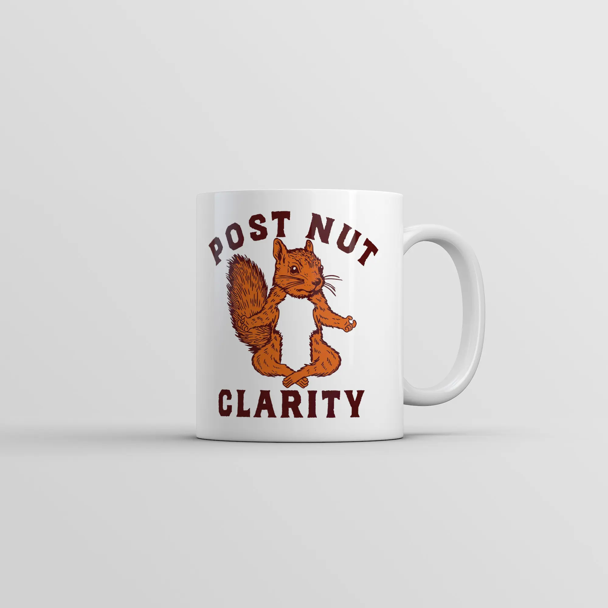 Post Nut Clarity Mug Funny Sarcastic Squirrel Graphic Novelty Coffee Cup - 11oz Funny Coffee Mugs Ceramic Printed Drinkware Cup