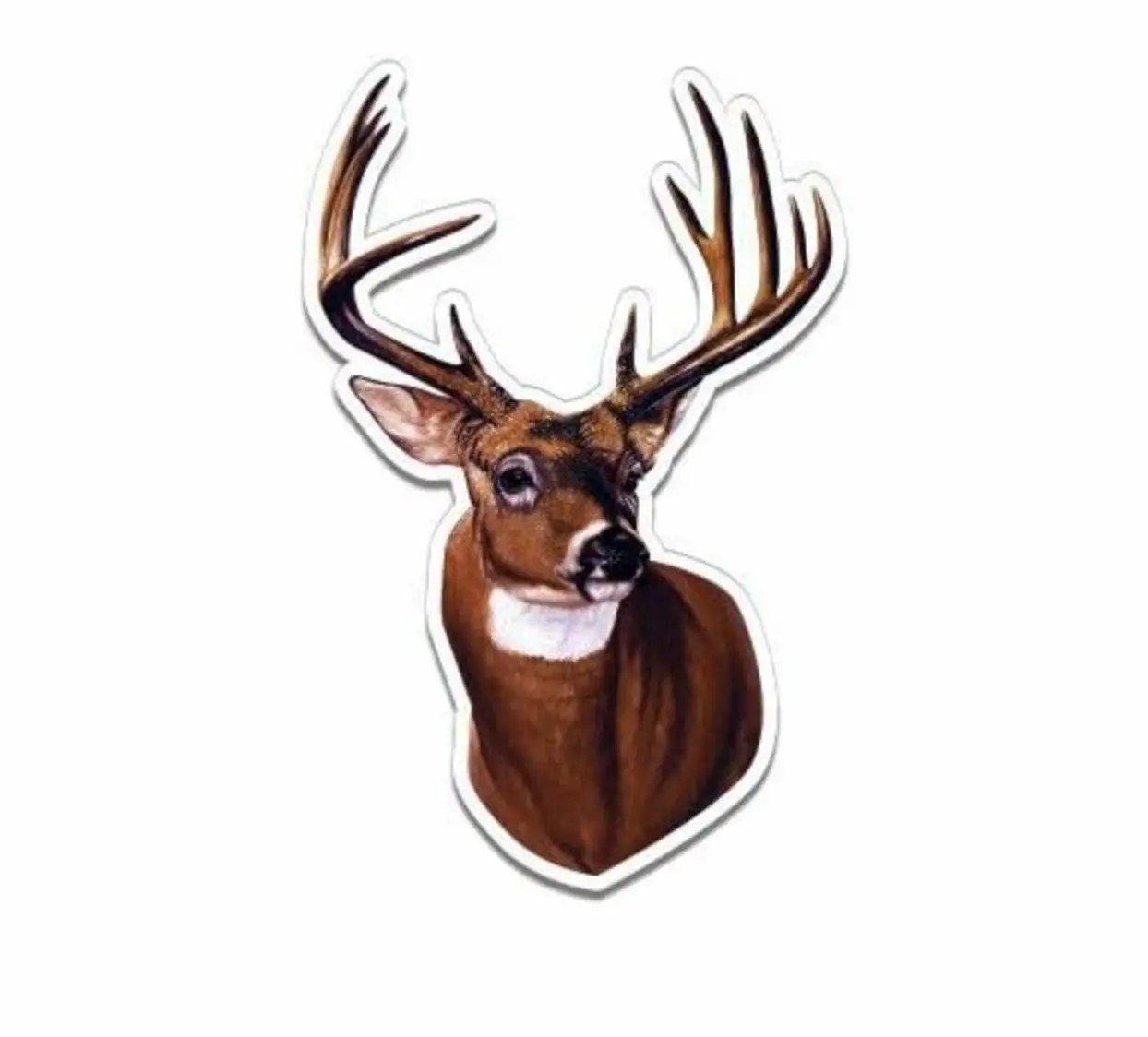 Deer Buck Hunting Sticker, Cars, Trucks, Laptops, Coolers, Toolboxes, Windows & More Waterproof Vinyl Sticker