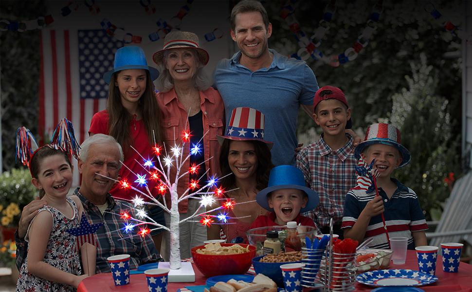 Patriotic LED Tree Lights, 24 Inch 4th of July Decorations Lighted Tree Lamp with 8 Lighting Modes & Timer, Red White Blue Tabletop Tree Light, USB Battery Operated Mini Bonsai Tree for Independence Day Indoor Home Table Party Decor