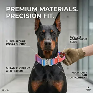 Gradient Tactical Dog Collar Heavy Duty No-Pull Pet Collar with Control Handle for Medium Large Dogs