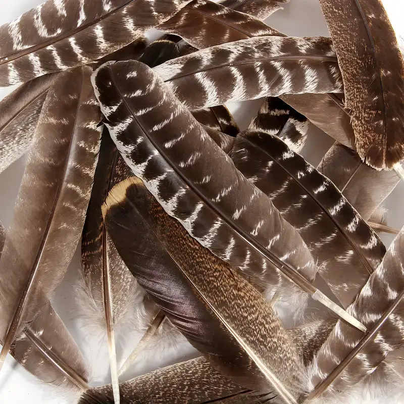 Turkey Wing Feathers - Brown and Natural Feathers - 3 feathers included