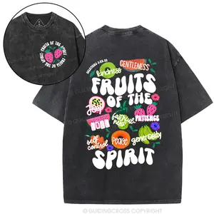 Fruit Of The Spirit Christian Washed T-Shirt