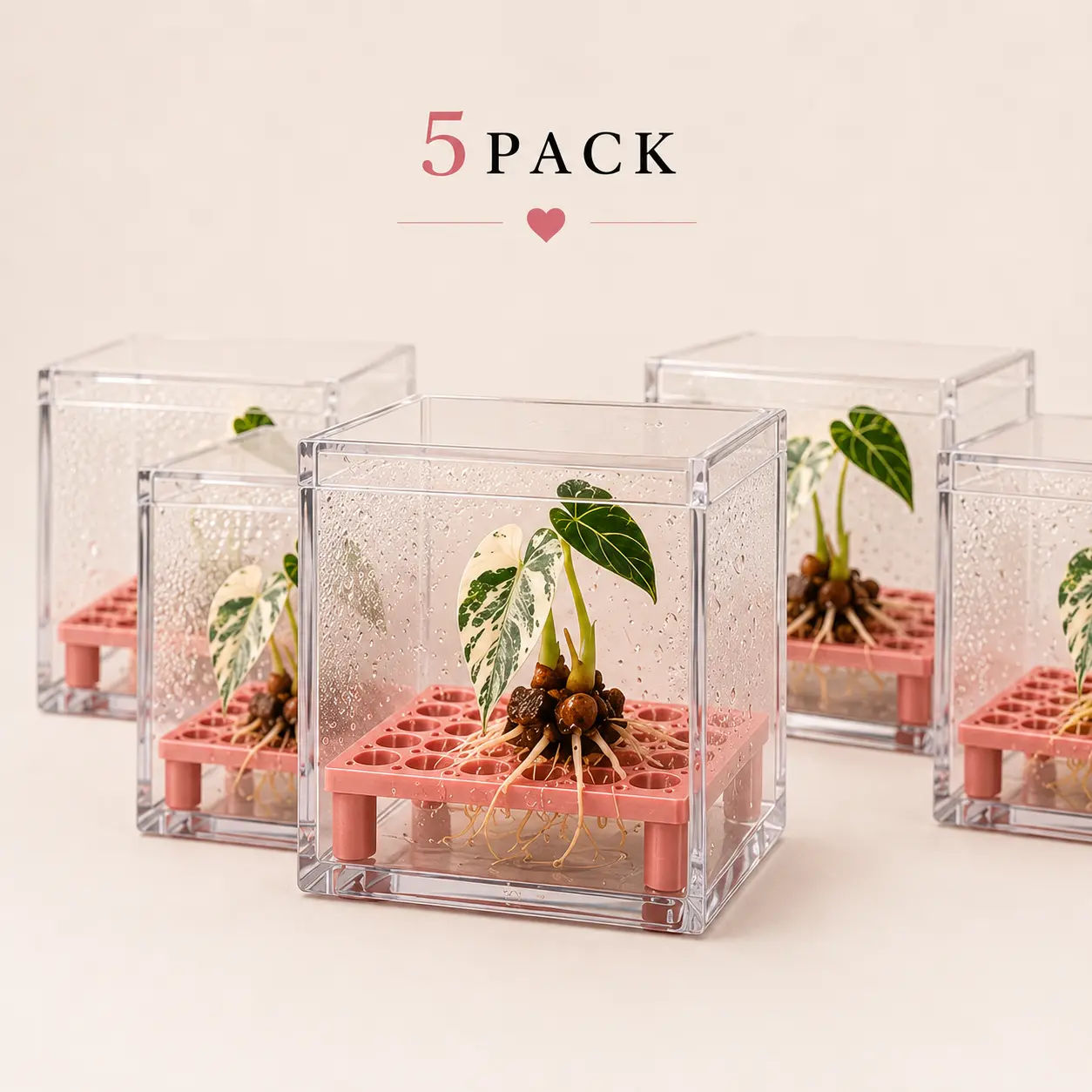 Square Corm Riser Bundle - Includes Risers + Containers, 3D Printed Display Boxes, Silk Organiser (Updated), Humidity Control