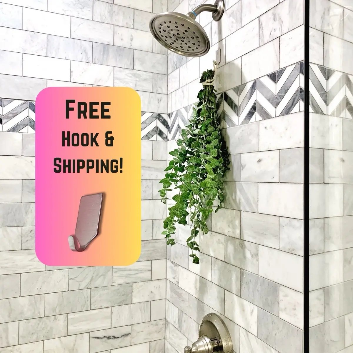 Eucalyptus Shower Bundle - Fresh eucalyptus to hang in your shower