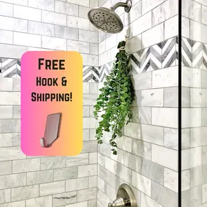 Eucalyptus Shower Bundle - Fresh eucalyptus to hang in your shower