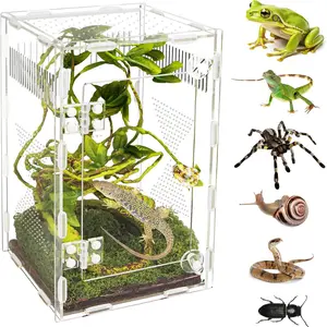 Easy Assembly Acrylic Jumping Spider Habitat Reptile Terrarium Bug Enclosure for Praying Mantis Frog, 9.8 * 5.9 * 5.9in