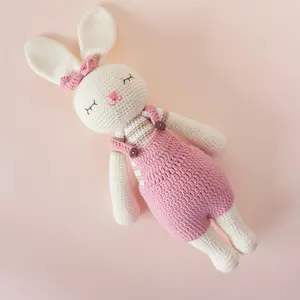 Customized Crochet Plushie Doll, Custom Gift, Bunny wearing dress - Personalized Portrait Plush, Bestie,  Mother's day, Graduation, Valentines Gift