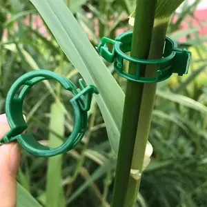 Plastic Plant Clip, 100pcs/box Garden Climbing Plant Fixing Clip, Plant Support Clip, Garden Supplies for Home Garden Use