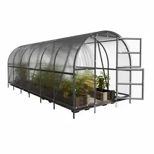World's Most Popular Polycarbonate Greenhouse - High quality building for growing plants