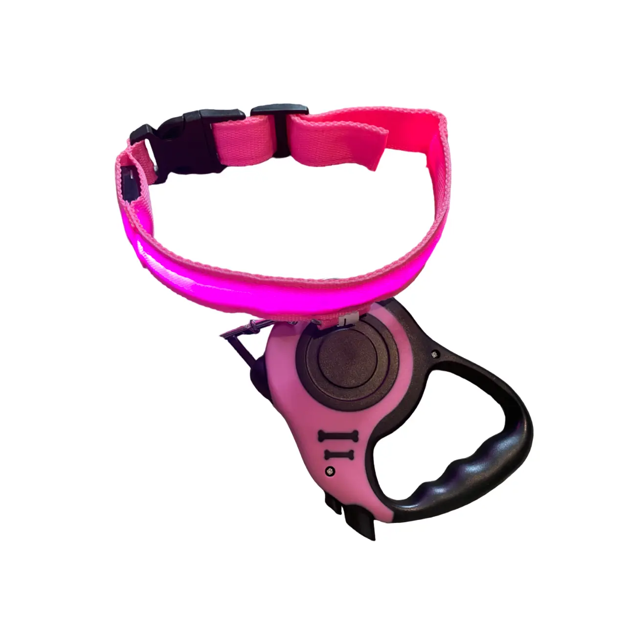 2-Piece Dog LED Collar & Leash Set