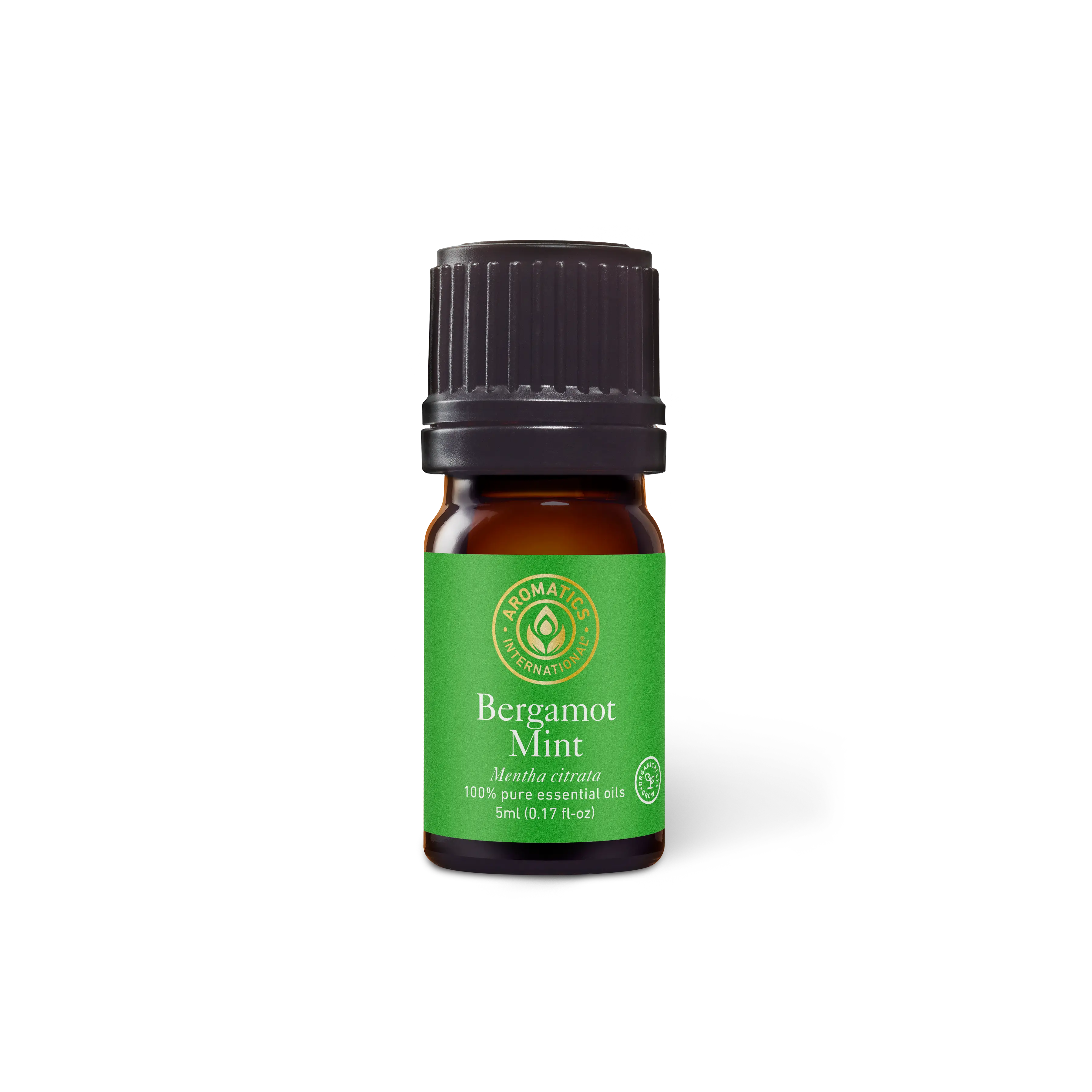 Bergamot Mint Essential Oil for Aromatherapy and Wellness Natural Therapeutic Solution