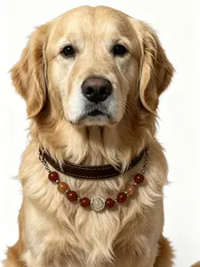 Slim Light Brown Adjustable PU Leather Pet Collar with Crystal Accent for Dogs and Cats – Decorative Photoshoot Prop leash german shepherd accessory