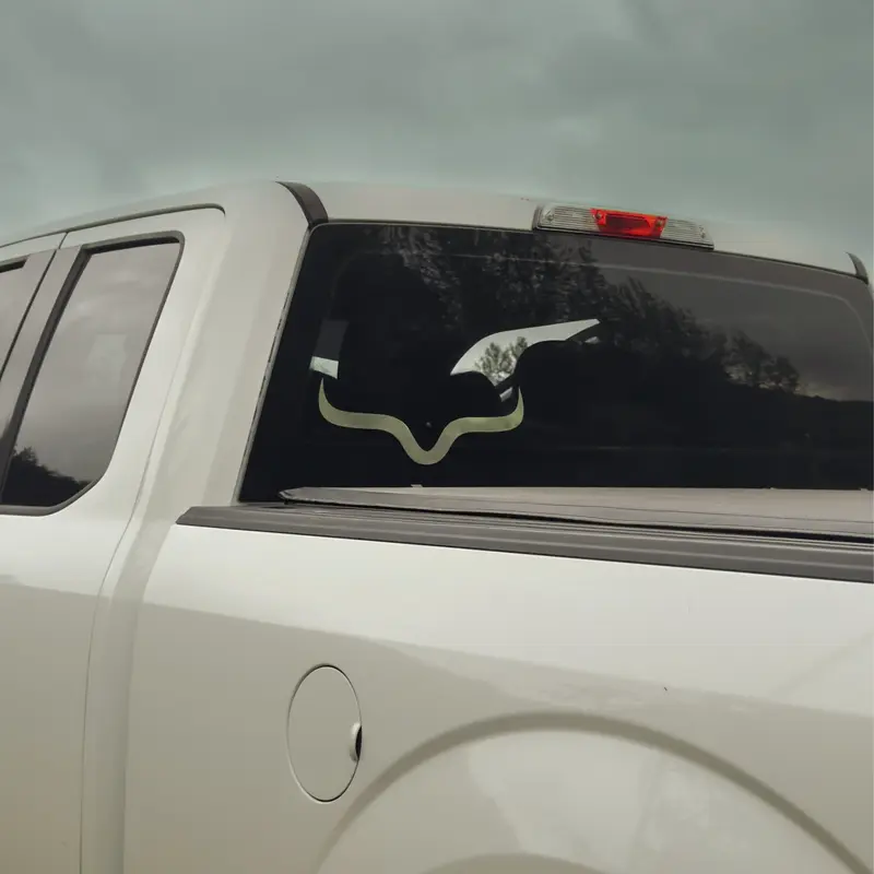 USA edition Longhorn Decal