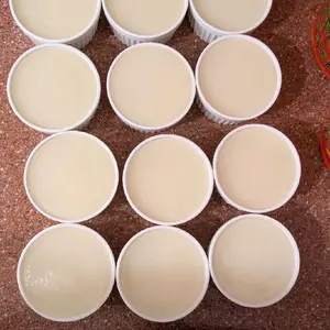 Solid Dish Soap with Ramekin - Ideal for Natural Cleaning