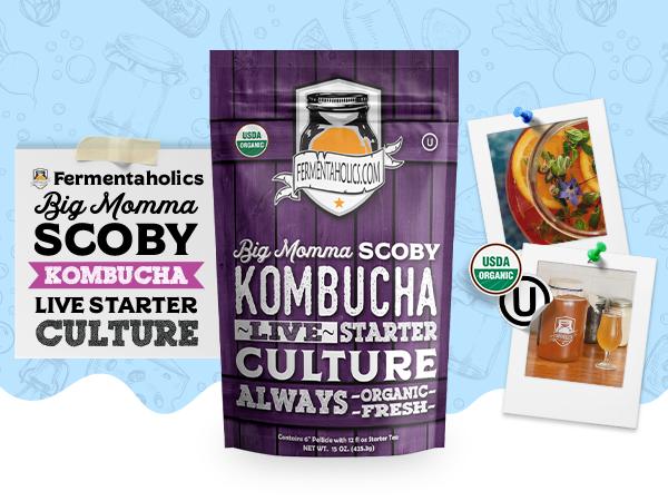 Big Momma Kombucha SCOBY - USDA Certified Organic Live Kombucha Starter Culture - 15 oz