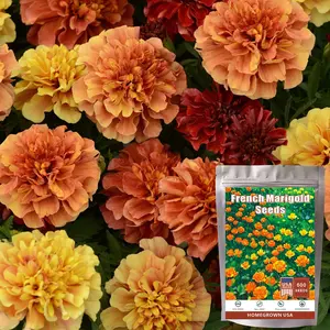 Marigold Seeds for Planting French Marigold Flower Seeds Mix - About 600 Seeds