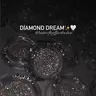 DIAMOND DREAM highlighter