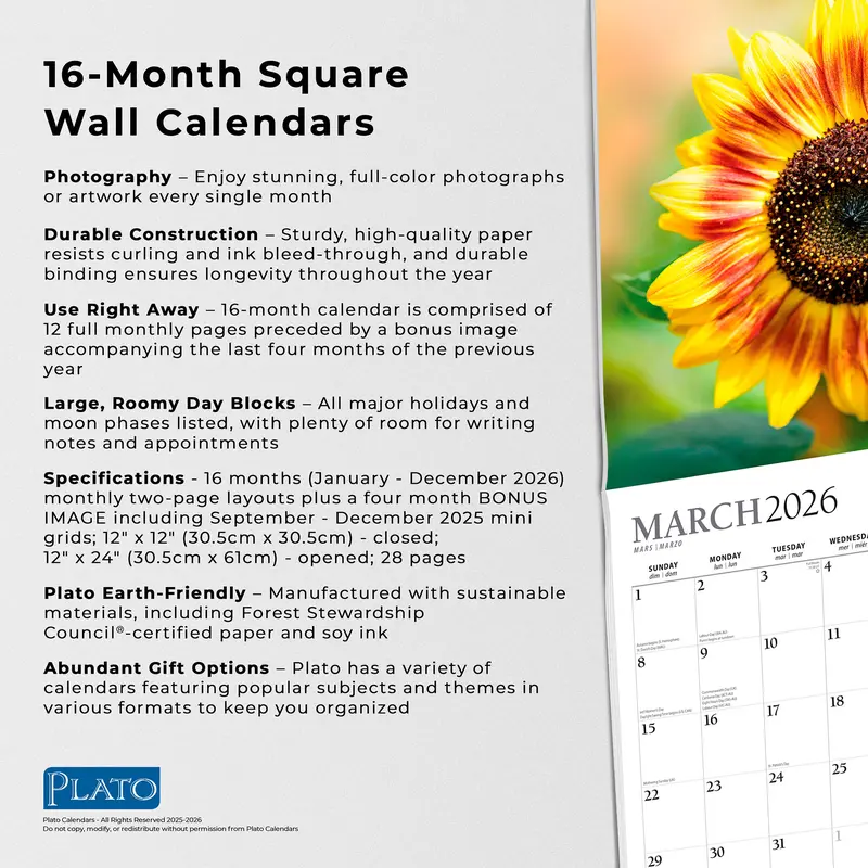 Sunflowers | 2026 12 x 24 Inch (Hanging) Monthly Square Wall Calendar | Foil Stamped Cover | Plato | Flower Floral Plant Outdoor Nature 5