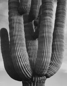 Saguaro Cactus (170 Piece Wooden Jigsaw Puzzle)