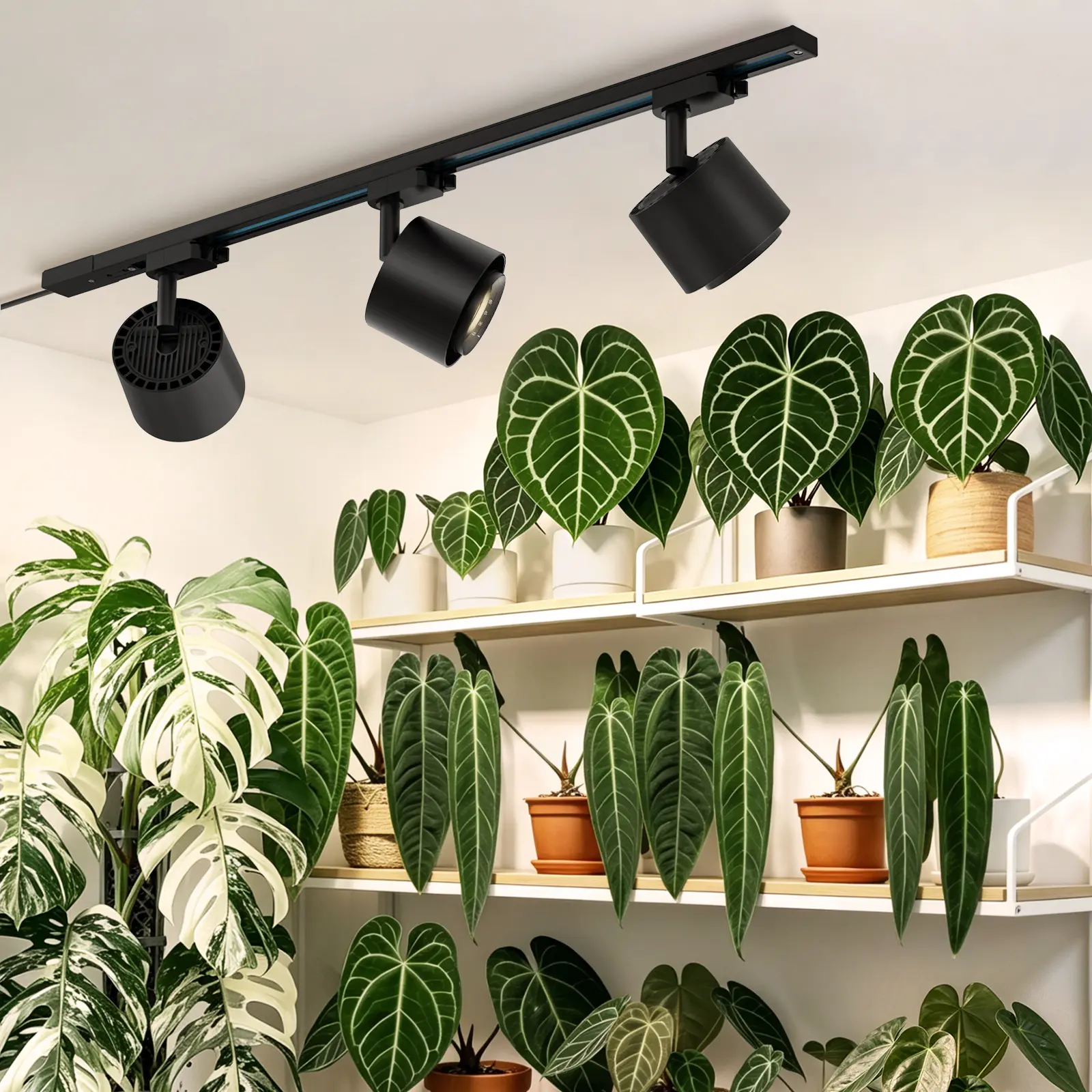 Barrina TR40c Track Grow Light for Indoor Growing, 3 x 40W, 15°-60° Adjustable Beam Angle, 4000K Ceiling Mount Full Spectrum Grow Lamp, LED H-Type Plant Light Bulbs for House Plants with Timer, Blcak