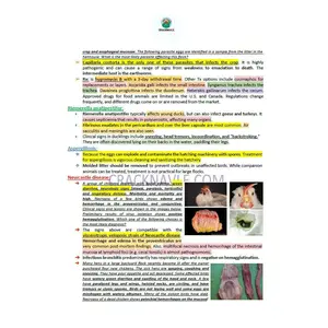 ICVA Based Topics of Poultry - Comprehensive and Concise ICVA based Topics for NAVLE Prep for Poultry - Ace your poultry knowledge with our NAVLE prep guide