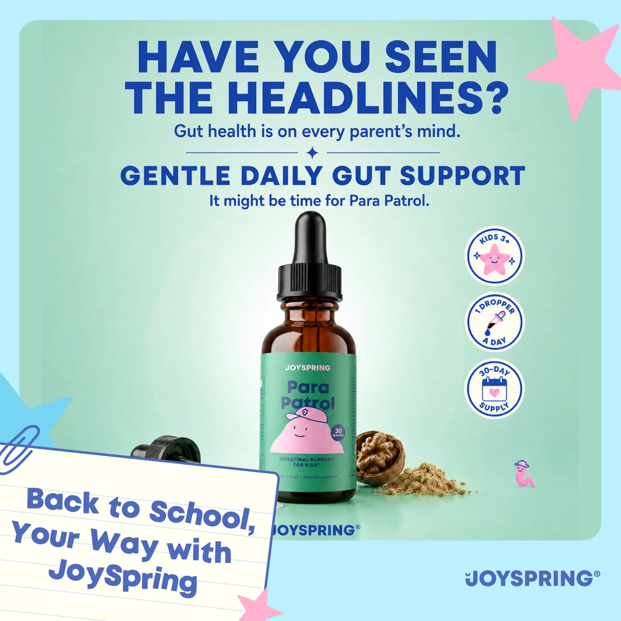 JoySpring Para Patrol Plant-Based Liquid Cleanse – Digestive Regularity Support for a Healthy Gut, Wellness Balance Supplement
