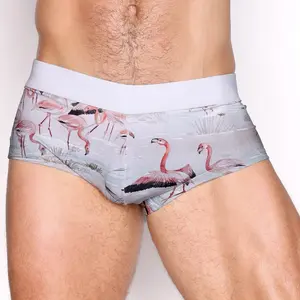 Flamingo Swim Trunk