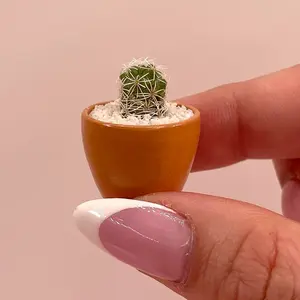 LITTLE PRICKS - Micro Mini Cactus - Terracotta- Hand Painted, DIY kit, Unique gifts, Live plant, Decor, Home Decor
