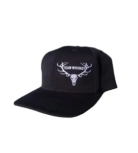 AR-15 Whiskey Flex  (Curved Bill)