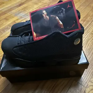 Retro Black Cat High-Top Basketball Shoes for Men Classic Look Black Color High-top Style Ideal for Basketball Games and Casual Wear New