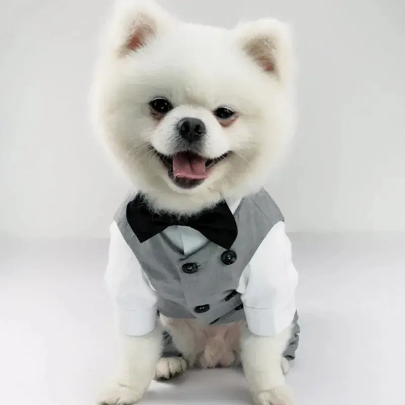 Dog Tuxedo Suit Set with Formal Vest - Pet Clothing, Costume for Weddings, Formal Events - Shirts Included, Sizes XXS-XXL for All Breeds (Chihuahuas to Great Danes)