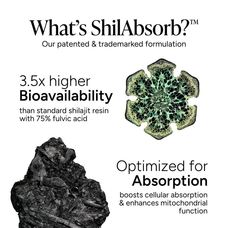 Root Labs 10-in-1 Alpha + Sea Moss Combo | New Year New Me Edition | Himalayan Shilajit + 92-Mineral Sea Moss | KSM-66 Ashwagandha, Maca, Tongkat Ali, Black Seed Oil | No Added Sugar | 60 + 60 Individually Wrapped Gummies | Transform Your Health Goals