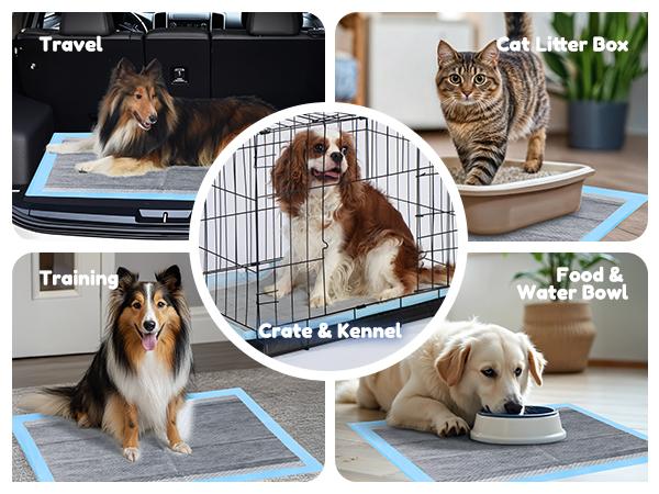 Portable Multi-Purpose Pet Pee Pads  Multiple sizes and styles ， Universal Training Pads for Dogs & Cats, All-Scene Fit for Travel, Crates & Litter Boxes